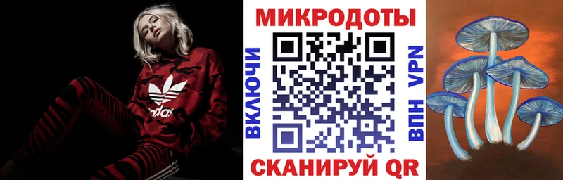 Галлюциногенные грибы мухоморы  Наволоки 