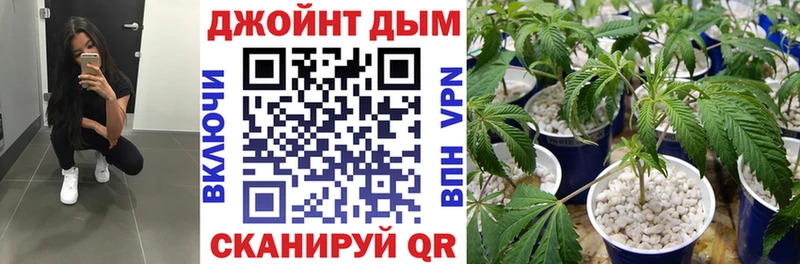 blacksprut ссылки  Наволоки  Шишки марихуана гибрид  наркота 